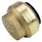 Apollo 1 in. Brass Push-to-Connect Cap FSBCAP1 - alternate 2